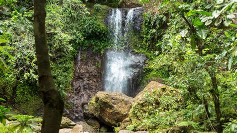 Cascade Saut Des Trois Cornes Sainte Rose Guadeloupe Rando Insolite