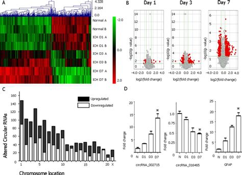 The Expression Pattern Of Circular RNA CircRNA In A Collagenase