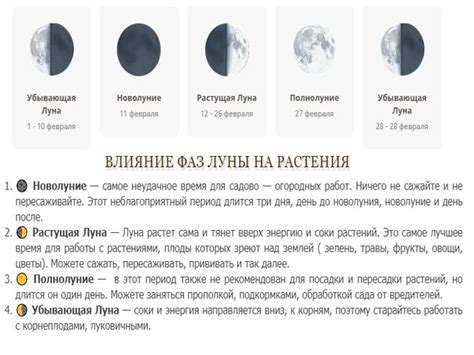 Растущая в 2023 году