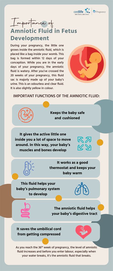 How To Recognize Leaking Amniotic Fluid And What To Do