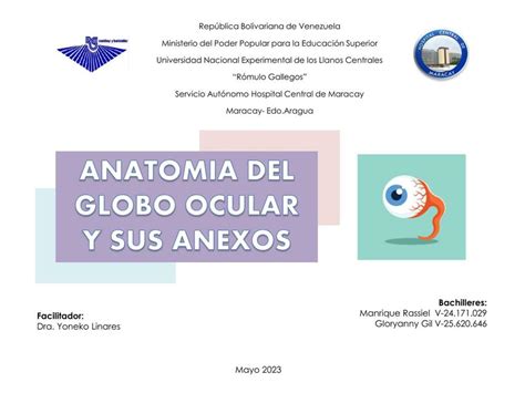 Anatom A De Globo Ocular Y Anexos Franyer Carvajal Udocz