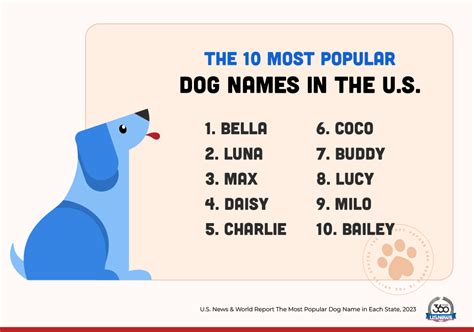 Check Out The Most Popular Dog Names Of 2023 And The Celebs Dogs Who