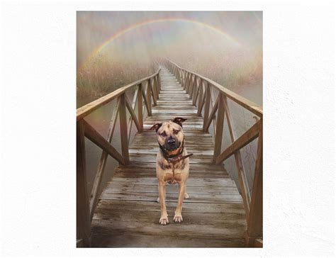 Rainbow Bridge Pet Memorial Pet Loss Remember Pet sympathy | Etsy