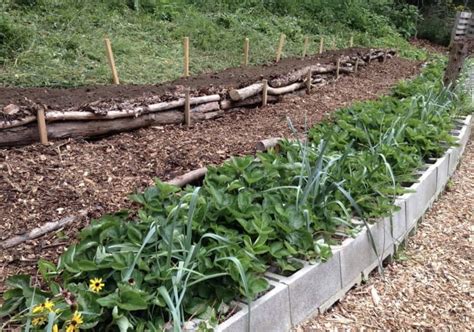 Как сделать грядки на склоне? – 6 важных рекомендаций для хорошего урожая