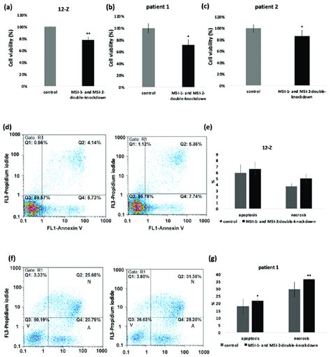 Musashi Double Knockdown Effect On Cell Viability And Apoptosis And