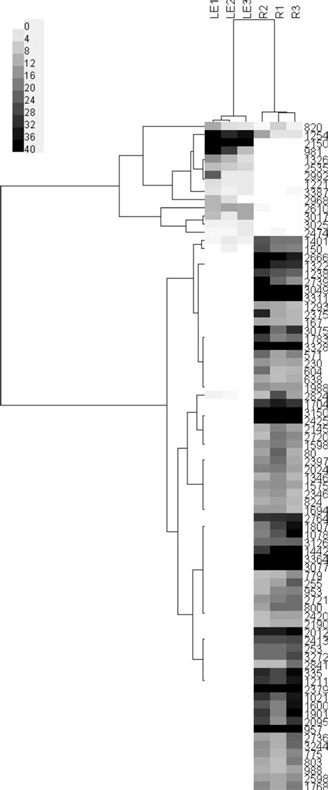Figure 2 from The communities of tomato (Solanum lycopersicum L.) leaf ... 