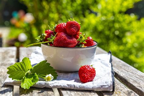 How To Grow Strawberries From Seed Or Runners Homes Gardens