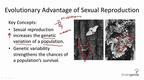 7 1 8 Evolutionary Advantage Of Sexual Reproduction Youtube