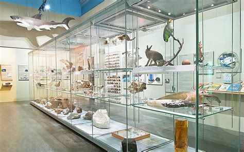 TESS Demountable › Project gallery › Colchester Natural History Museum