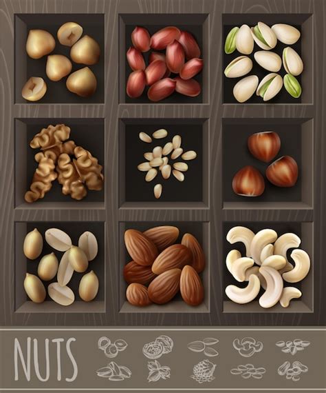 Free Vector Realistic Organic Nuts Collection With Walnut Peanut