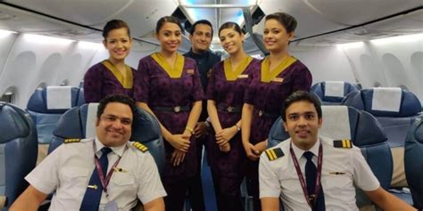 Vistara Cabin Crew Requirements And Qualifications Cabin Crew HQ