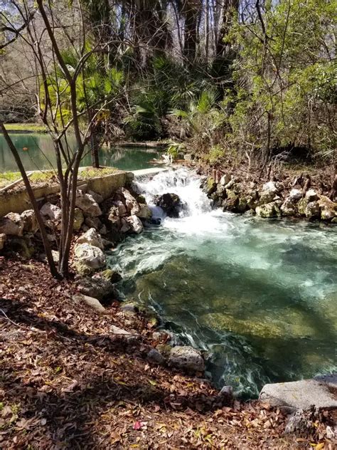 Camp Seminole Springs Interlachen Fl