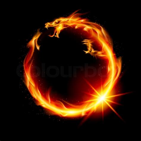 Fire Dragon | Stock vector | Colourbox