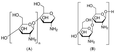 Agronomy Free Full Text Chitosan Oligosaccharide Lactate Increases