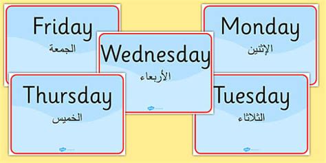 Days of the Week Signs Arabic Translation (teacher made)