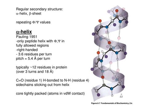 Ppt Regular Secondary Structure A Helix B Sheet Repeating Fy