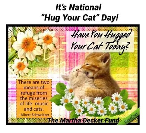 National Hug Your Cat Day Hallmark Times