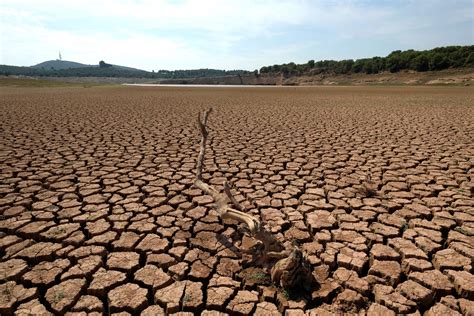 Identifican Las Olas De Calor Más Extremas Jamás Registradas A Nivel