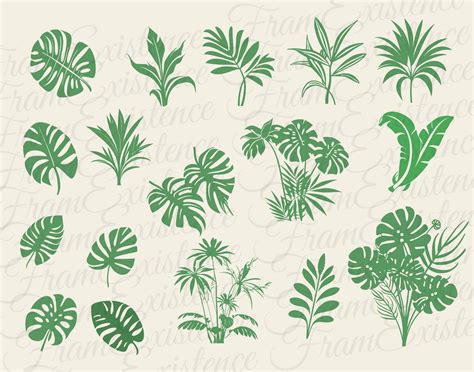 Tropical Plants Svg Bundle Tropical Leaves Svg Monstera Leaf Svg