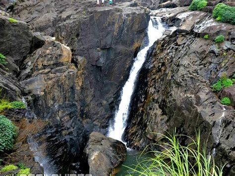 Kunchikal Falls, Agumbe - Timings, Swimming, Entry Fee, Best Season to ...