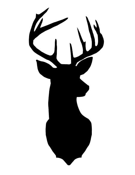 Deer Head Png