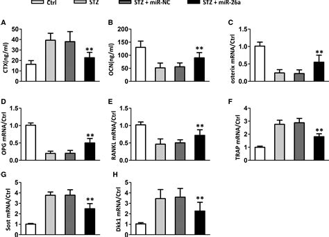 Mir A Attenuated Bone Specific Insulin Resistance And Bone Quality In