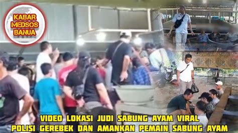 Detik Detik Polisi Gerebek Lokasi Judi Sabung Ayam Yang Viral Youtube