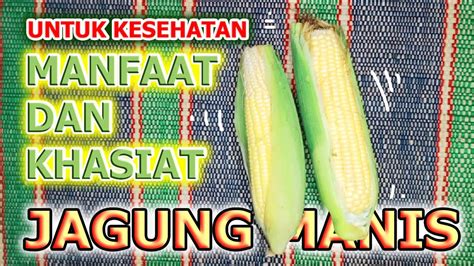 Manfaat Dan Khasiat Jagung Manis Untuk Kesehatan Youtube