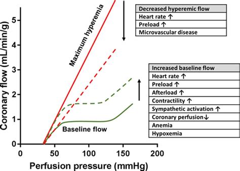 Quantitative Assessment Of Coronary Microvascular Function