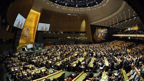 El Consejo De Derechos Humanos De La Onu Tratar El Accionar De Los