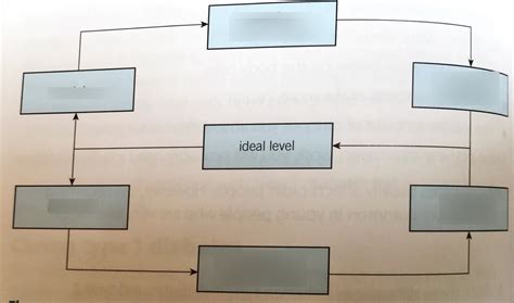 AQA GCSE Biology The Role Of Negative Feedback Diagram Quizlet