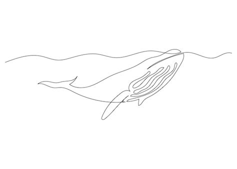 Premium Vector Continuous Line Drawing Of Whale With The Ocean