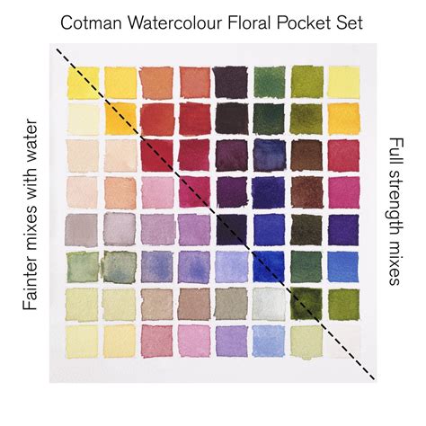 Winsor Newton Acuarela Cotman Set Bolsillo Floral Godets