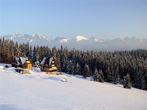 Zakopane Zima Góry Domy Góra Las Polska