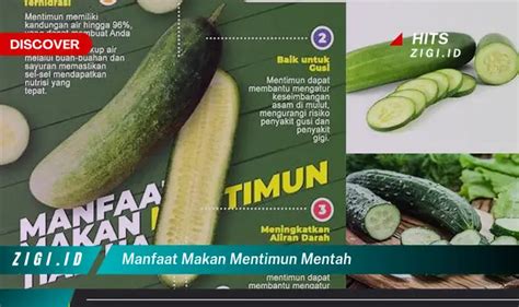 Temukan Manfaat Makan Mentimun Mentah Yang Bikin Kamu Penasaran