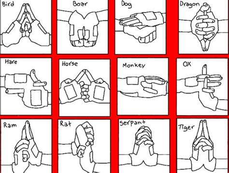 Basic Naruto Hand Signs