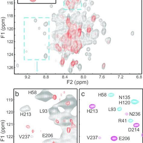 Heteronuclear Nmr Analysis Of Munc Binding To The Snare Complex