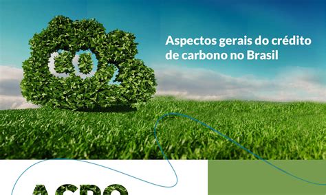 Aspectos Gerais Do Cr Dito De Carbono No Brasil