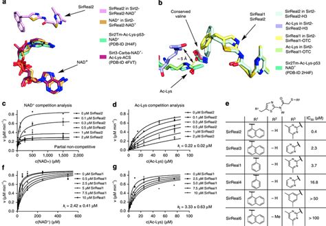 Sirreal Inhibitors Suppress Sirt Activity Via A Unique Mechanism