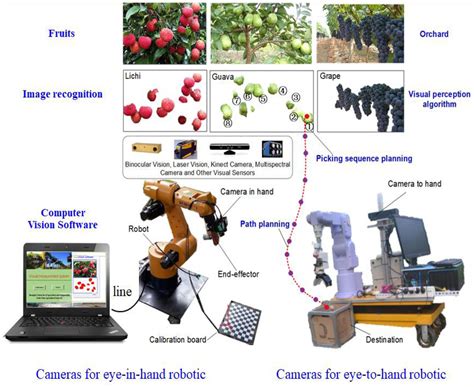 Frontiers Recognition And Localization Methods For Vision Based Fruit