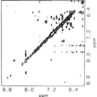 The Aromatic Region Of A 2D NOESY Spectrum Of A 1 25 1 Sinefungin To