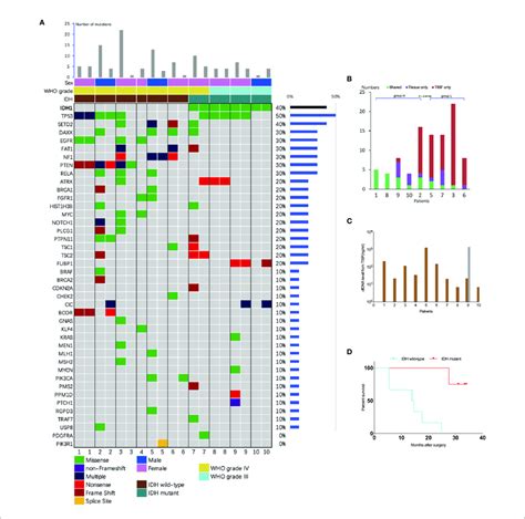 Analysis Of Tumor Dna From Tisf And Tumor Tissue A The Mutational