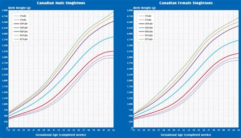 Gestational Age Weight Chart Male