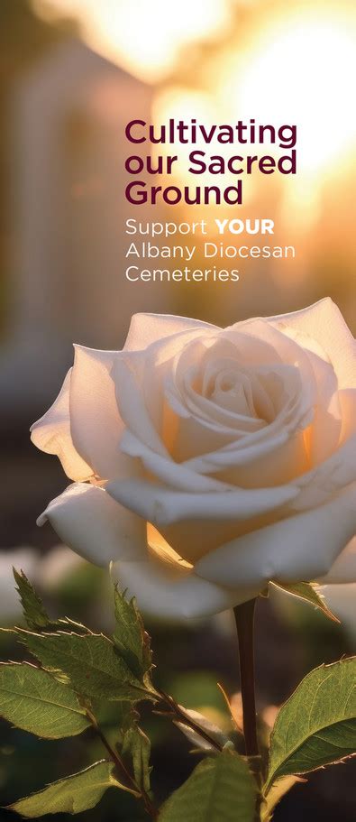 Brand Inspiration Albany Diocesan Cemeteries Annual Appeal