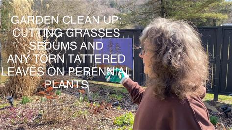 Winter Garden Clean Up Cutting Grasses Sedums And Torn And Tattered