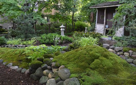 Tips For Creating A Moss Garden Fine Gardening