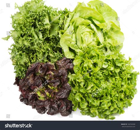 Types Of Red Lettuce