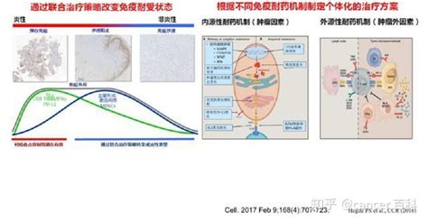 Pd 1耐药后怎么办？八大治疗方案实力救场！ 知乎