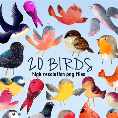 Bird Clipart Watercolor Birds Clip Art Hand Painted Birds Etsy