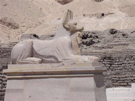 Anubis Sphinx Guarding Entrance To Ramessrum In Thebes Luxor Egypt